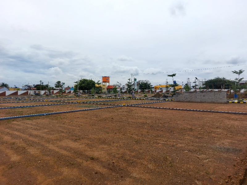 Greenfield Bigway Ishara
