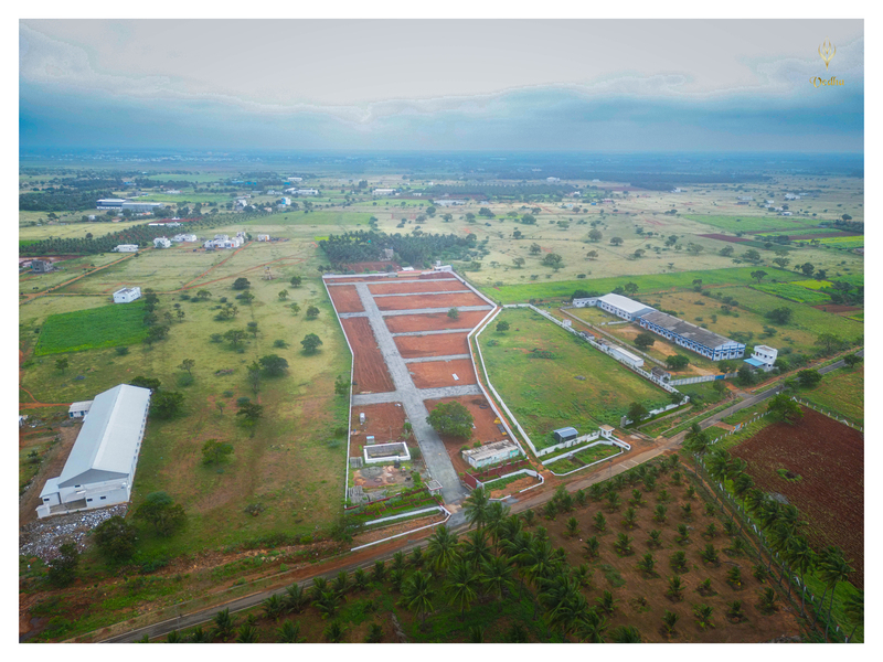 Vedha