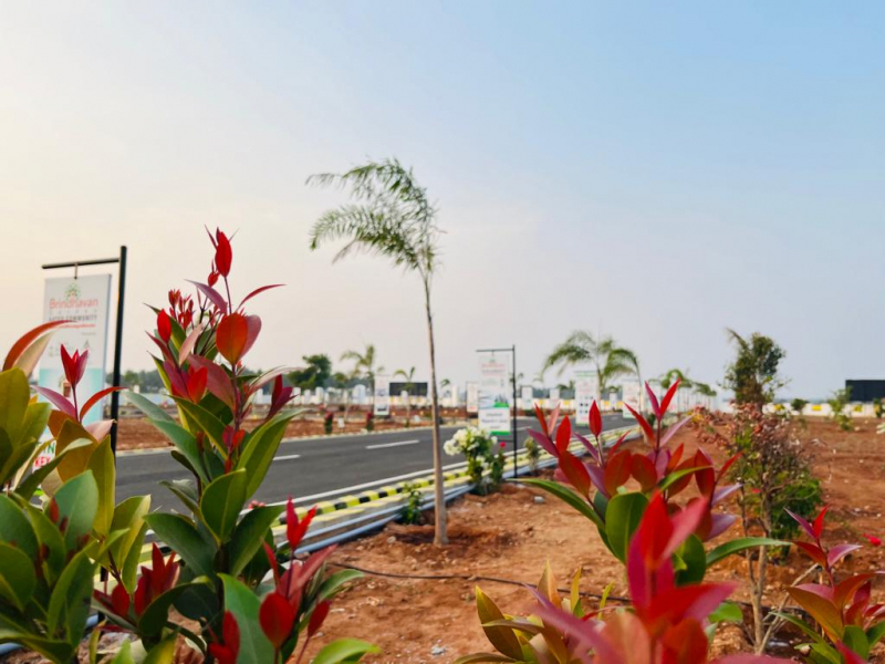 RR Brindhavan Garden