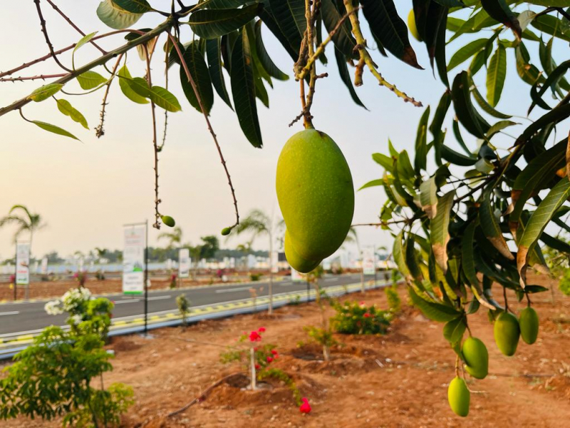 RR Brindhavan Garden