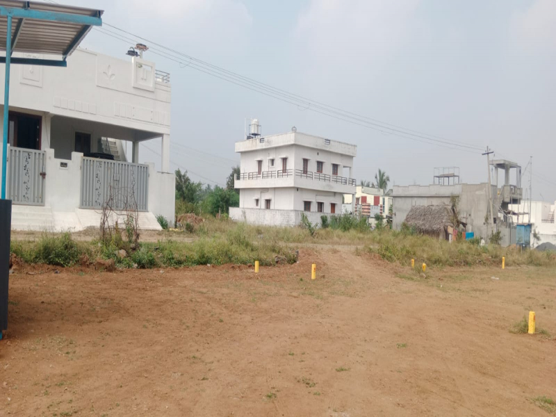 Lush Enclave