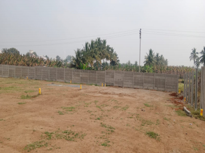 Lush Enclave