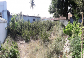 2544 Sq.Ft Land for sale in Uppilipalayam