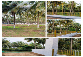 6000 Sq.Ft Land for sale in Othakalmandapam