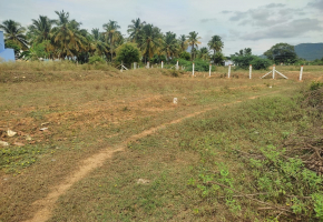 2000 Sq.Ft Land for sale in Press Colony