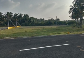 3 Cents Land for sale in Pollachi