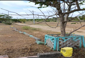 1000 Sq.Ft Land for sale in Chettipalayam