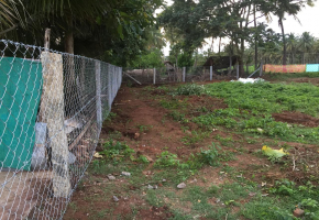 31 Cents Land for sale in Thondamuthur