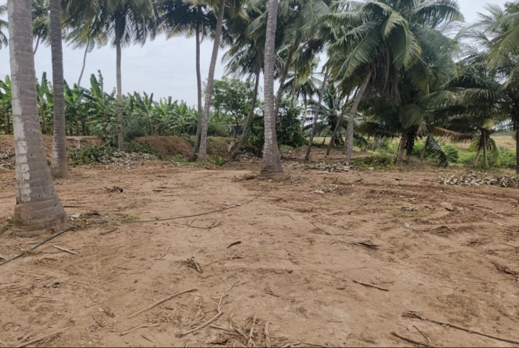 4 Acres, Agricultural farm land for sale in Ettimadai