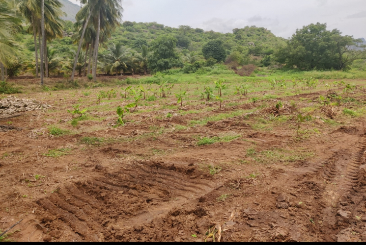 4 Acres, Agricultural farm land for sale in Ettimadai