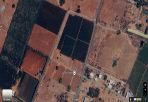 100 Cents Land for sale in Tirupur