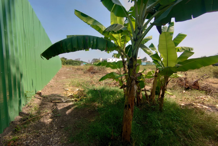 122 Cents, Commercial Land for sale in NGGO Colony
