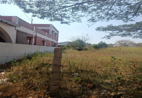8 Cents Land for sale in NGGO Colony