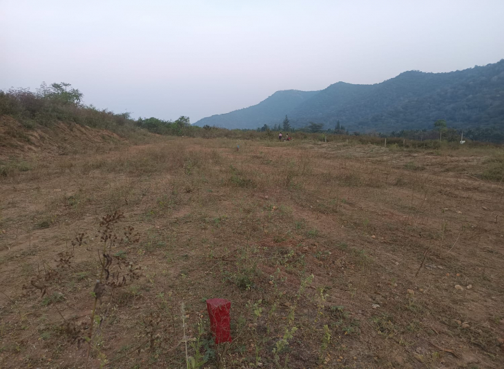 2 Acres, Agricultural farm land for sale in ANAIKATTI