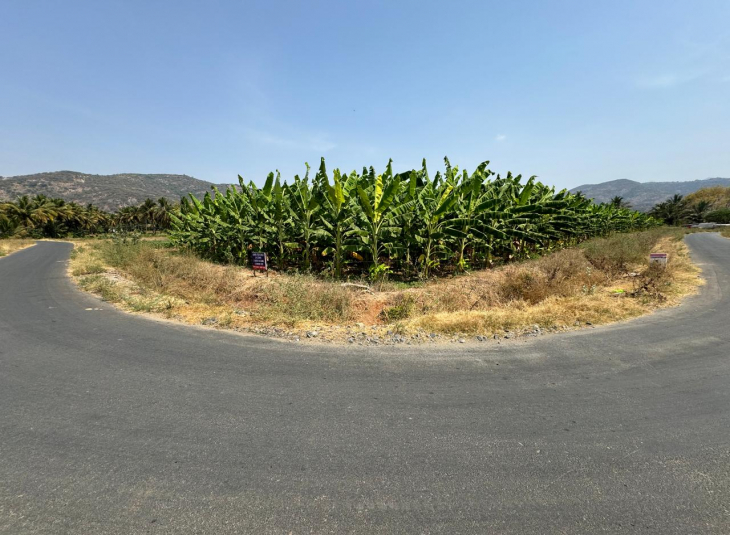 50 Cents, Agricultural farm land for sale in Karamadai