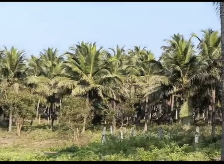 Commercial Property for sale in Pollachi