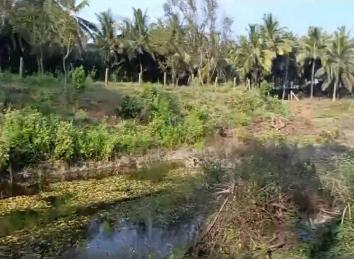 37 Acres, Agricultural farm land for sale in Pollachi