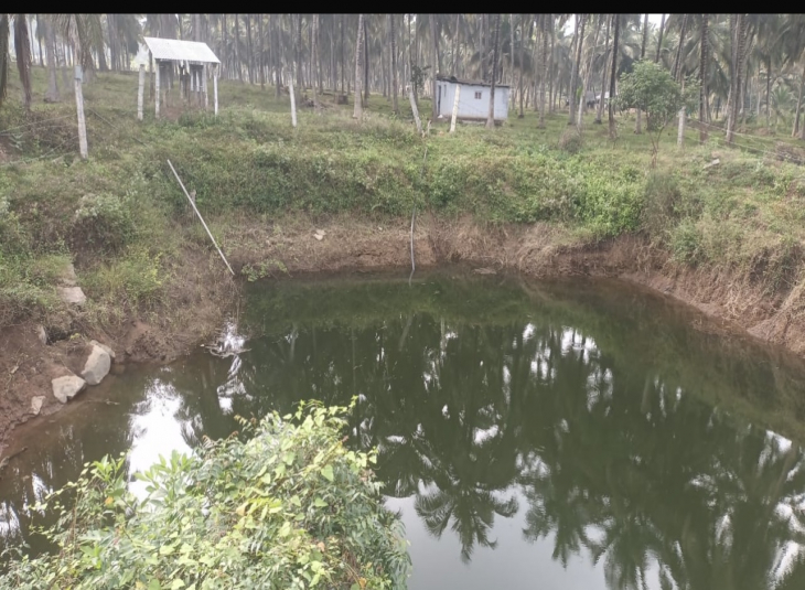 37 Acres, Agricultural farm land for sale in Pollachi