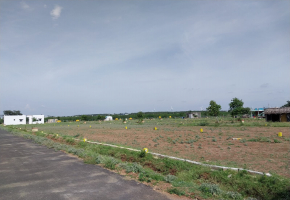 1000 Sq.Ft Land for sale in Appanaickenpatti