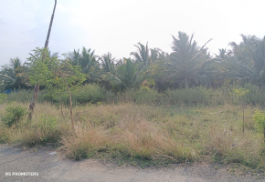 2200 Sq.Ft Land for sale in Vilankurichi